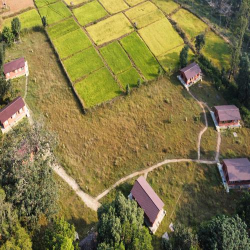 Atulya Kanchi Farms